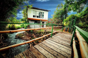 Rainforest Cabin in Escazu. Best of both words